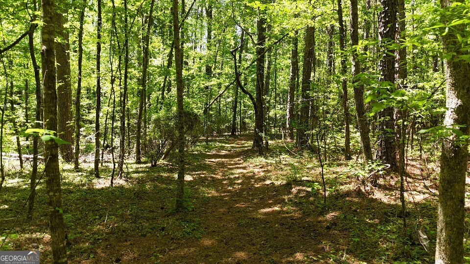 993 Cheatham Road