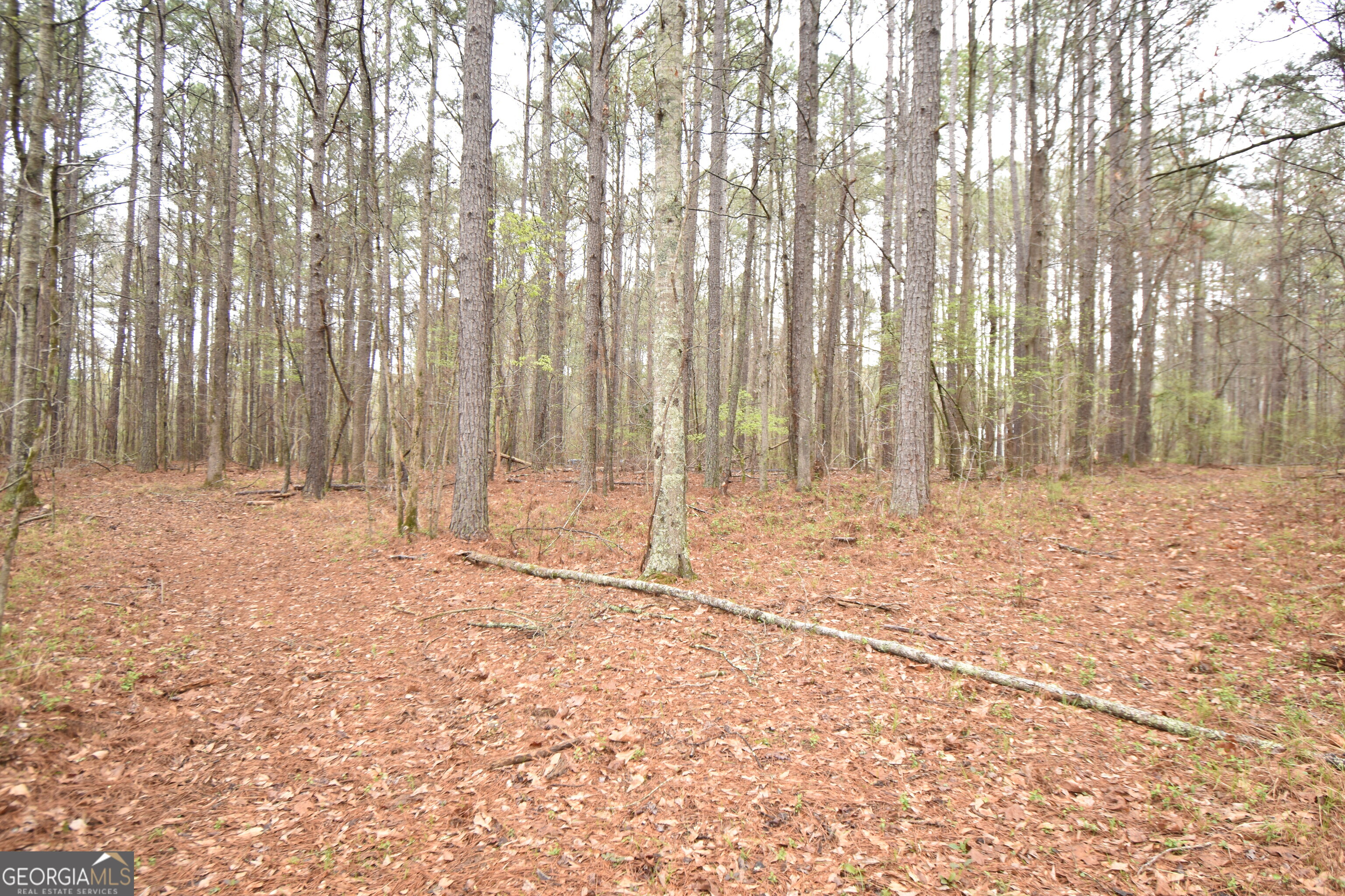 955 Cheatham Road