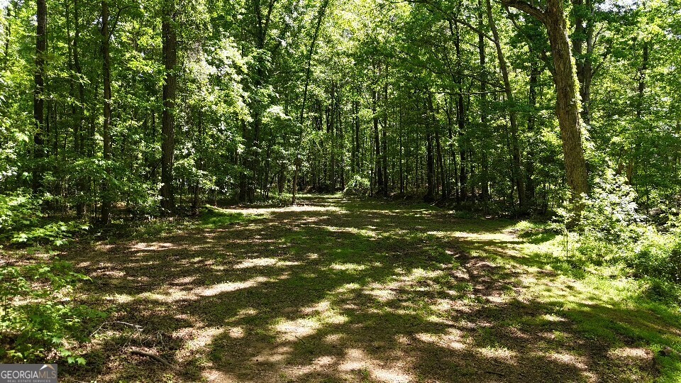955 Cheatham Road