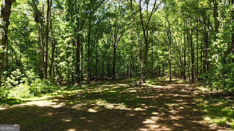 955 Cheatham Road