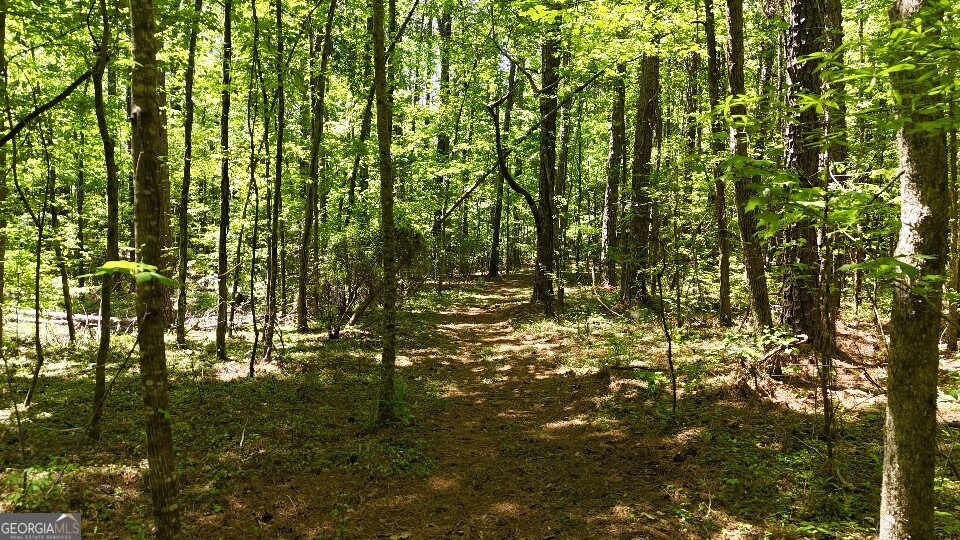 955 Cheatham Road