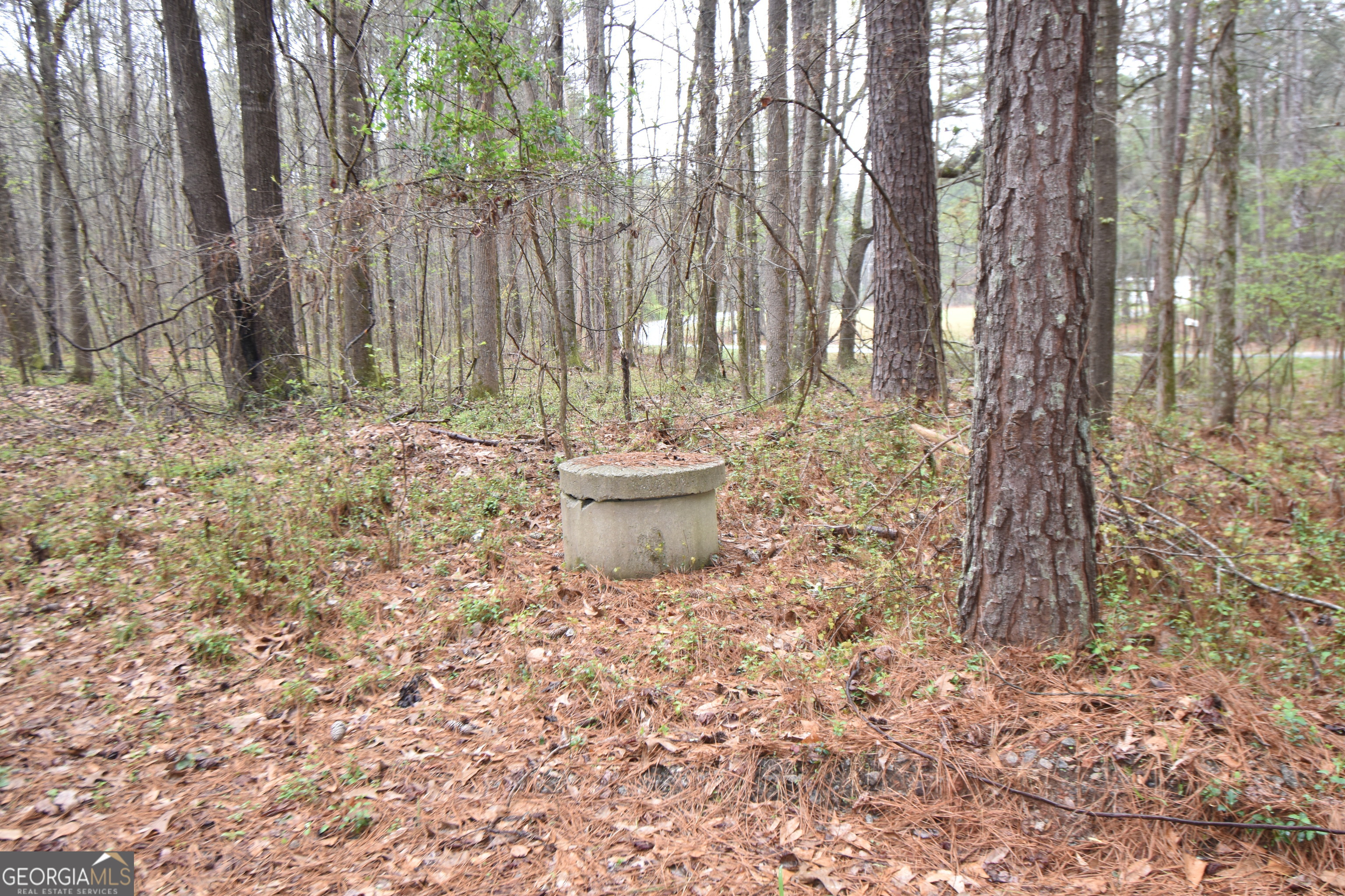 955 Cheatham Road