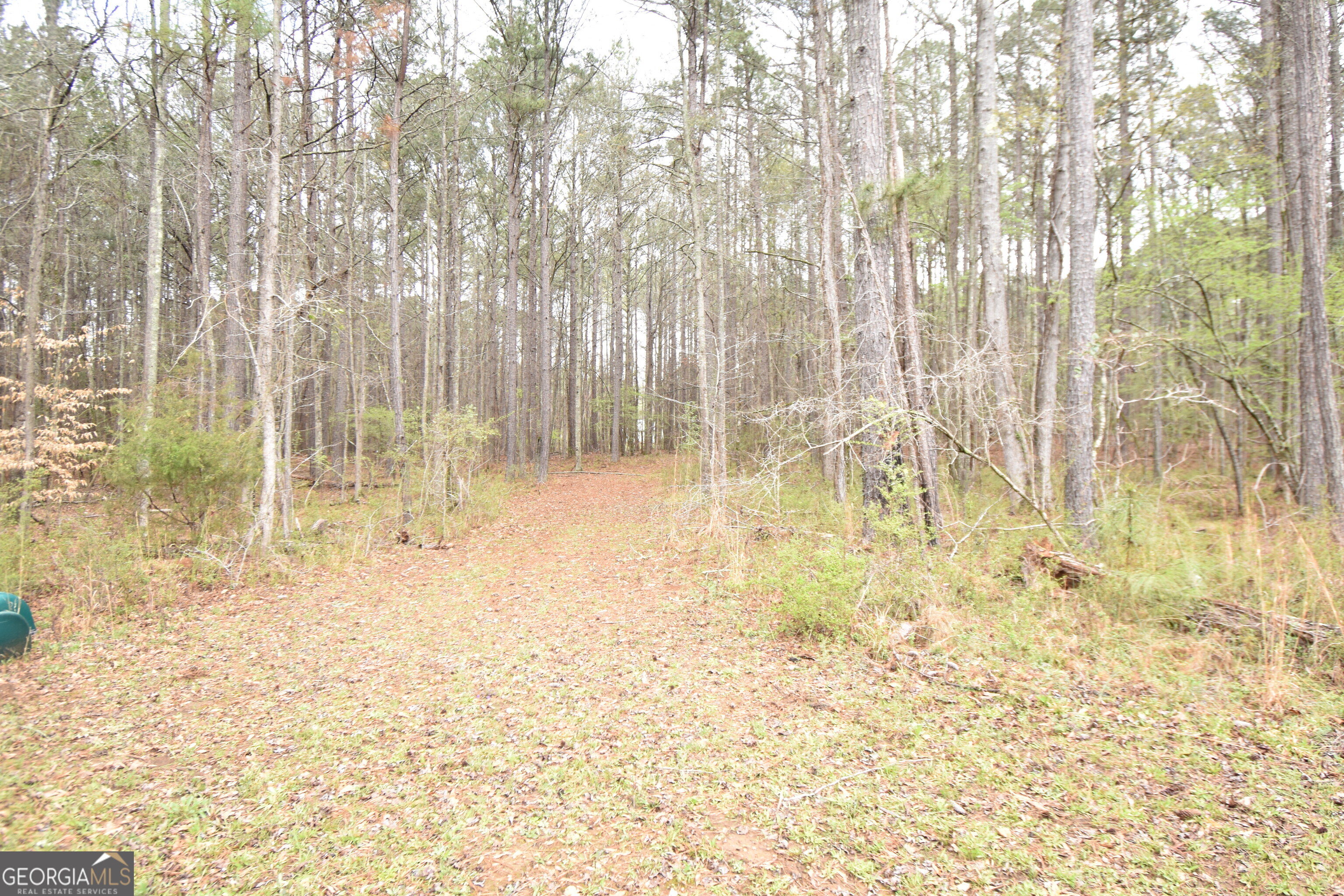 955 Cheatham Road