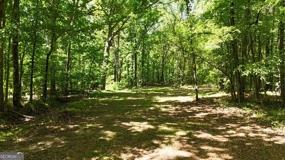955 Cheatham Road