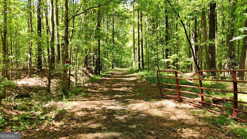 955 Cheatham Road