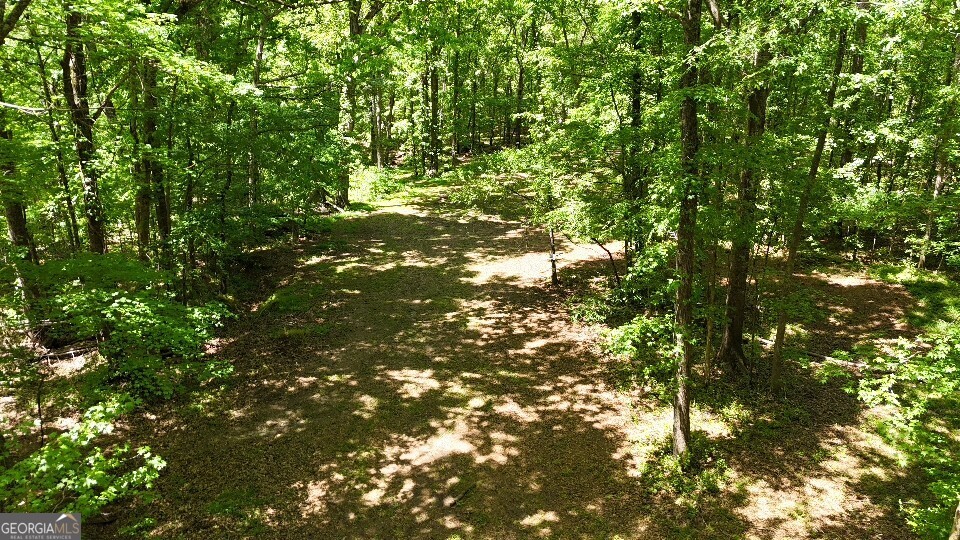 955 Cheatham Road