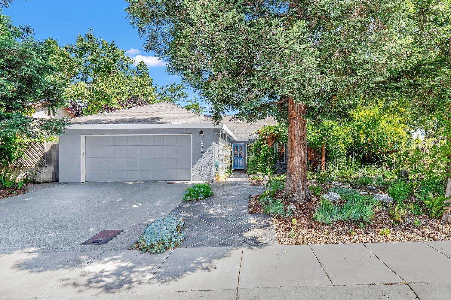 2301 Muir Woods Place