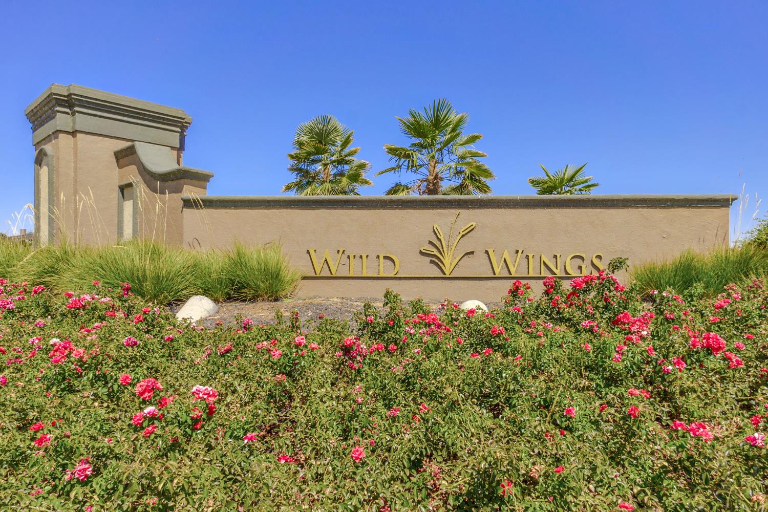 34070 Canvas Back Street