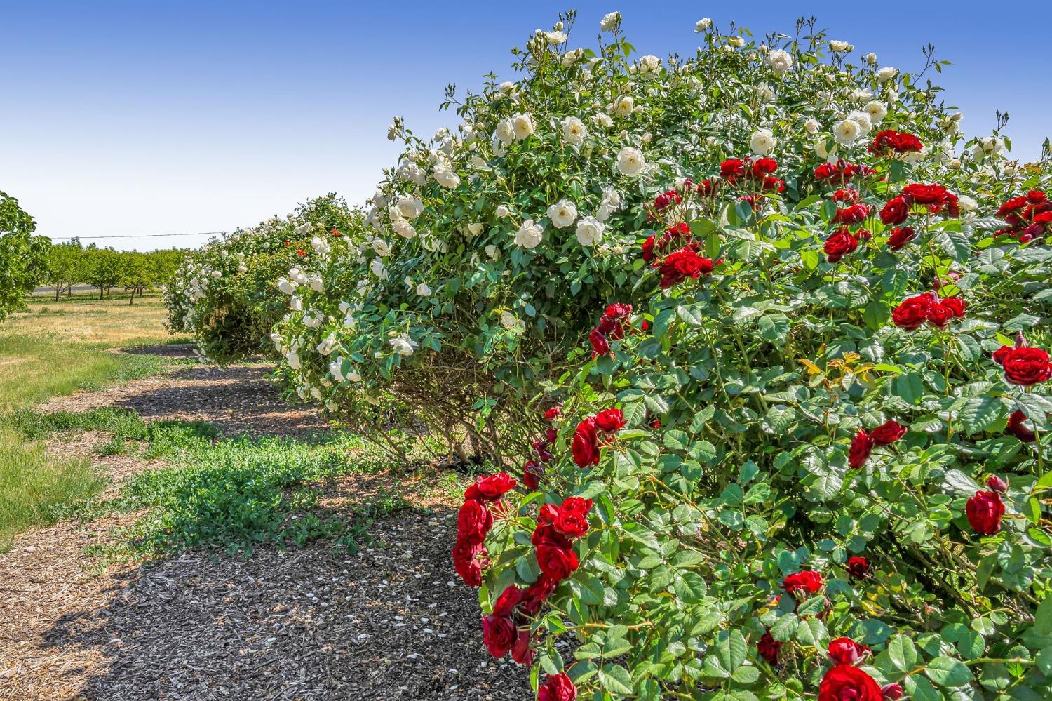 34718 Corcoran Hill Lane