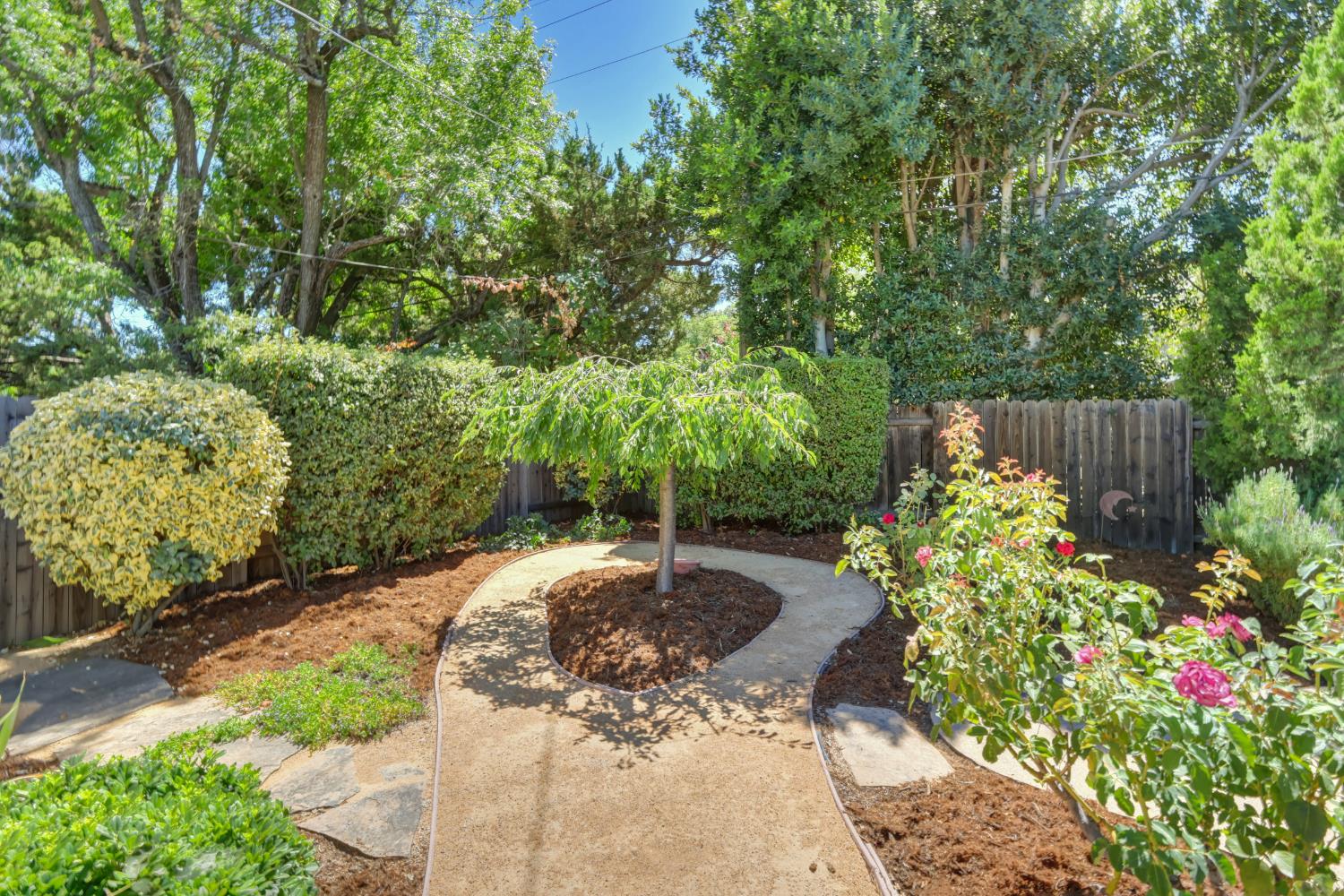 819 Sycamore Lane