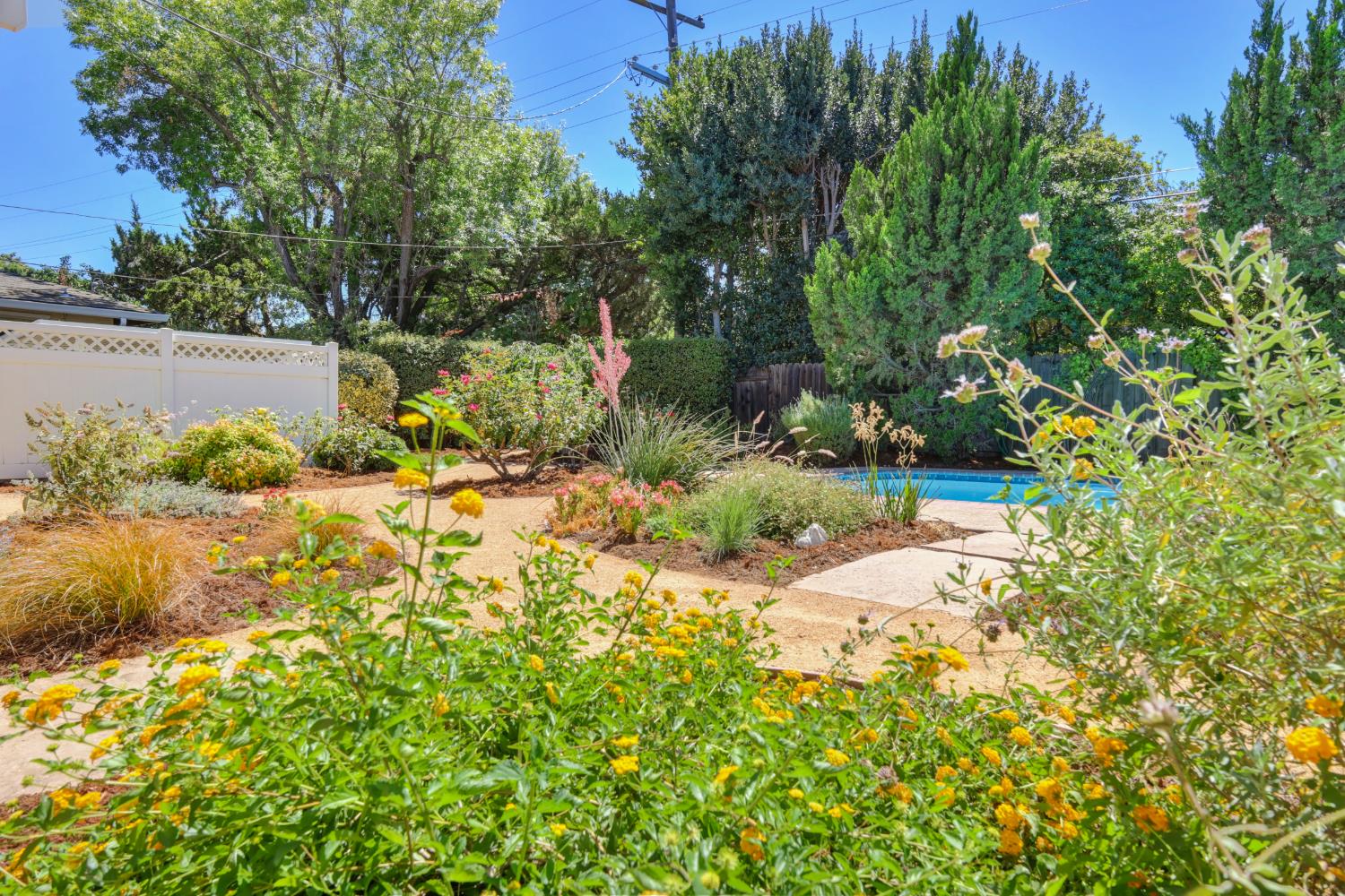 819 Sycamore Lane