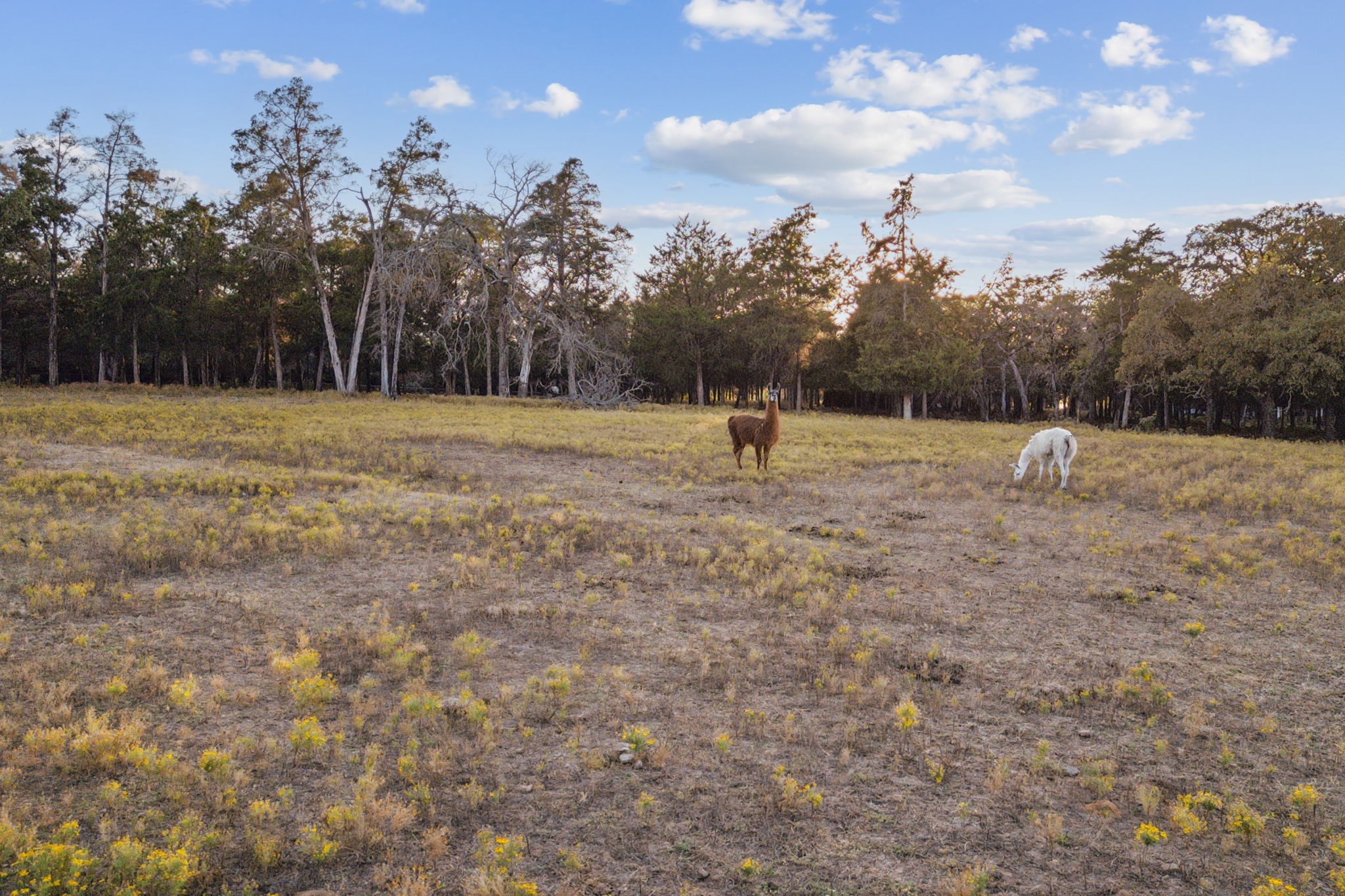 1900 Shady Oaks Drive