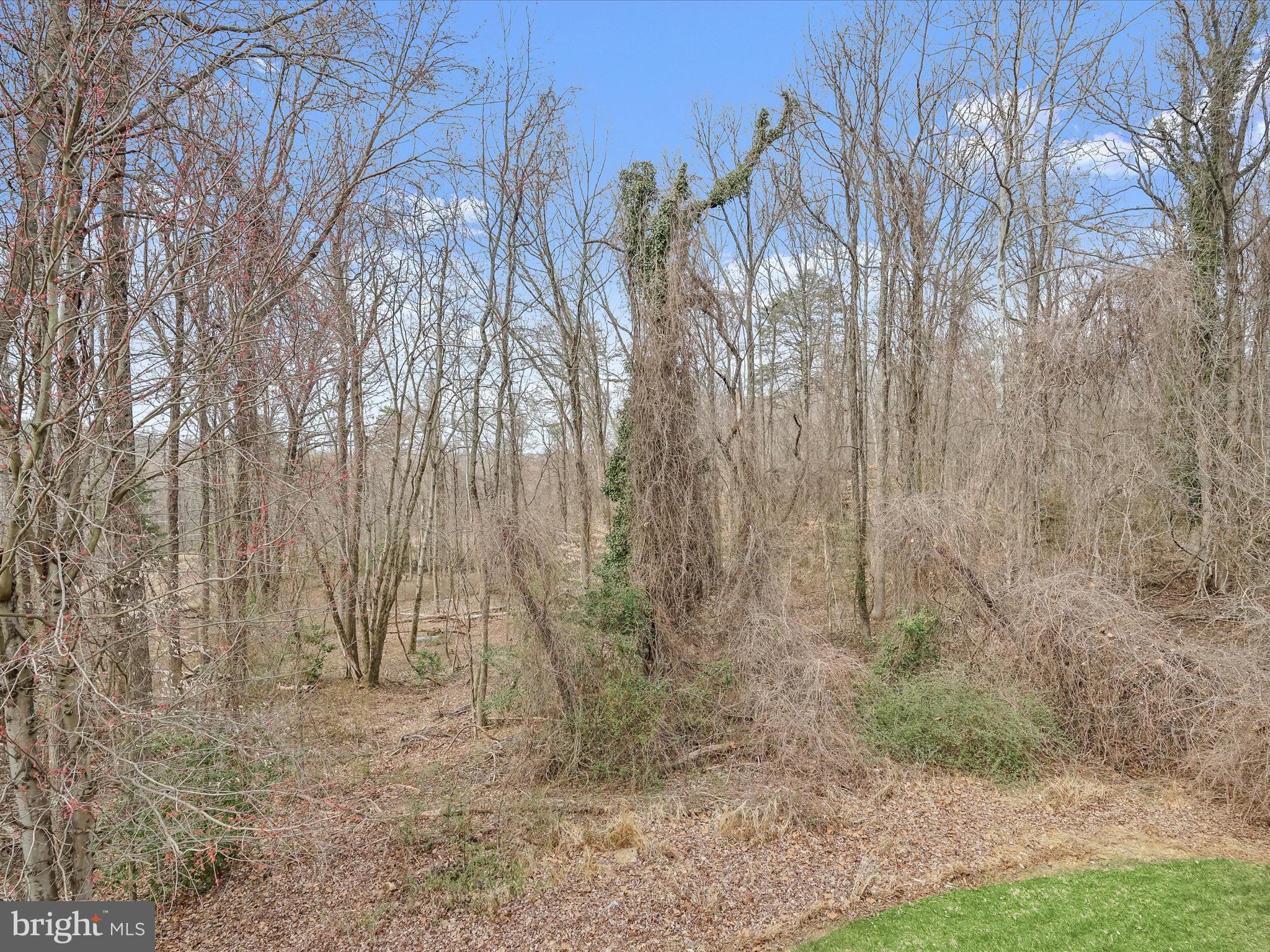 4300 CULLOWHEE COURT