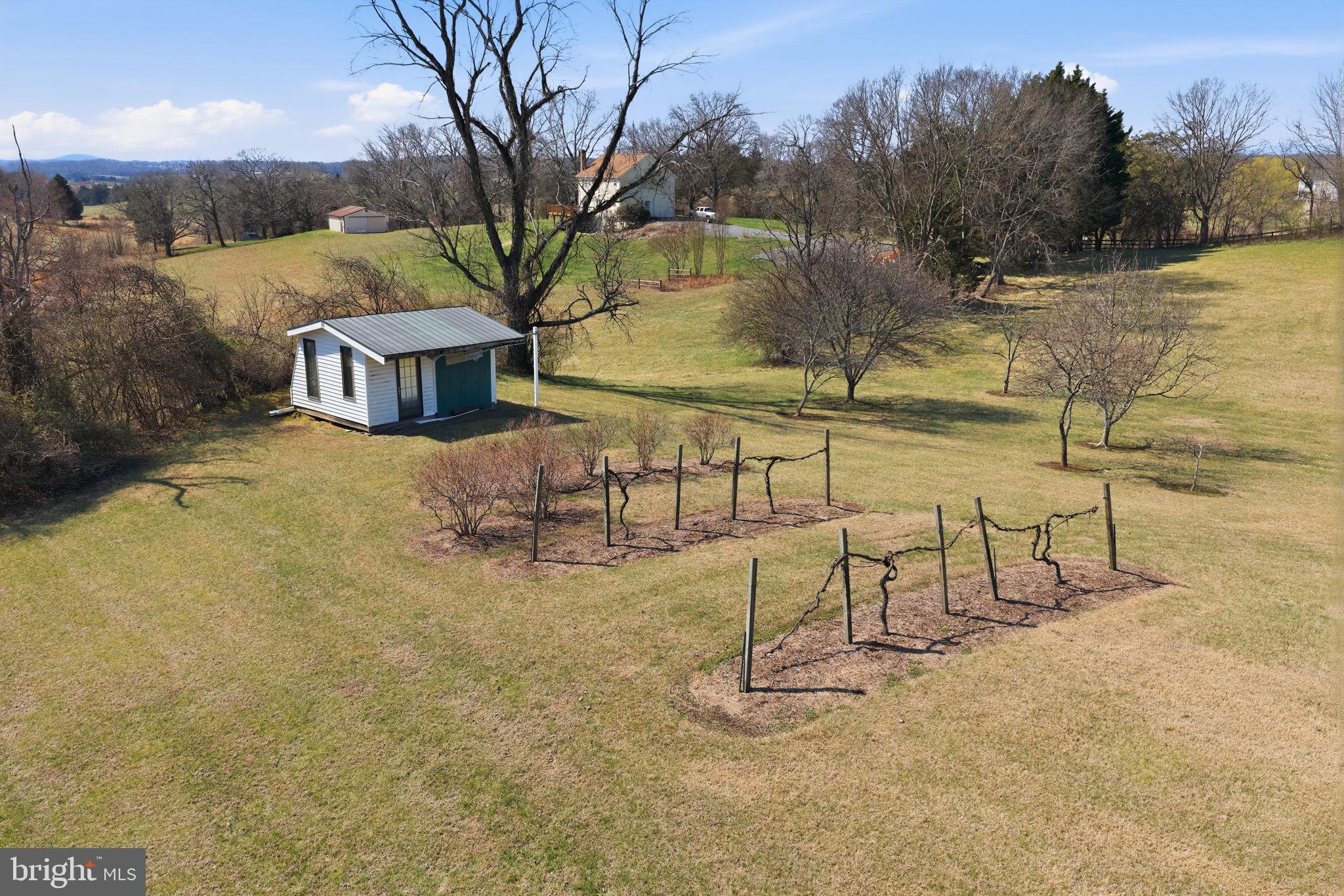 13403 LOST WALNUT LANE