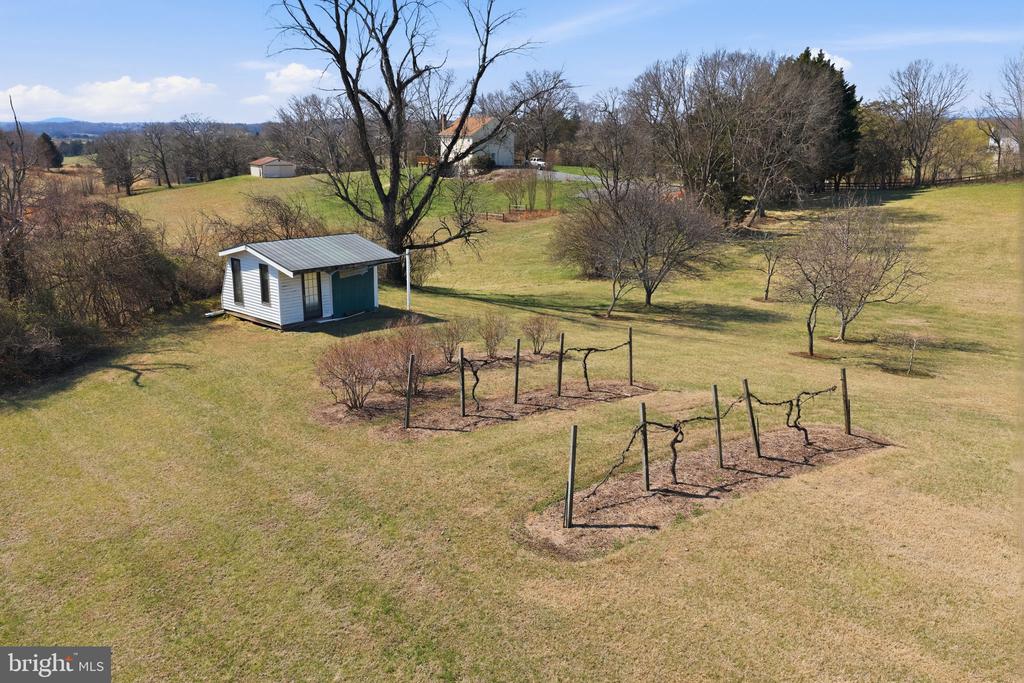 13403 LOST WALNUT LANE