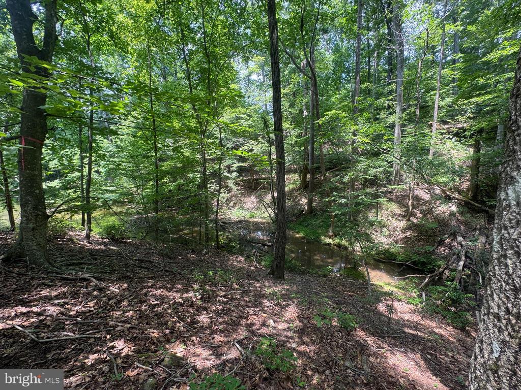 #lot 64 ELLA MARIE CT