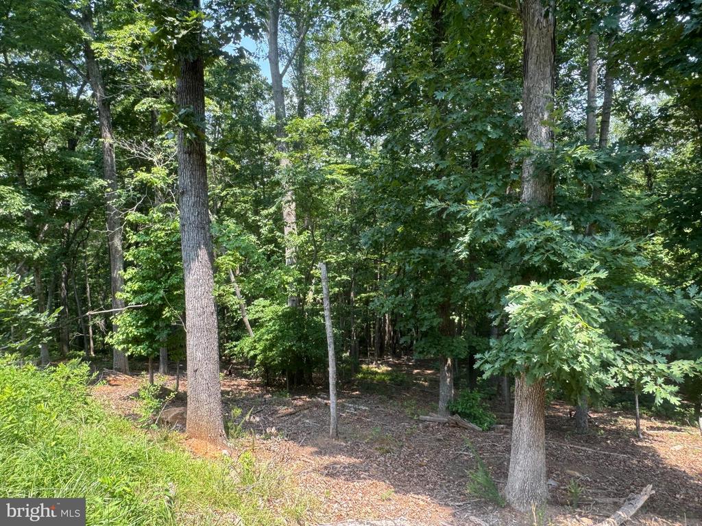 #lot 64 ELLA MARIE CT