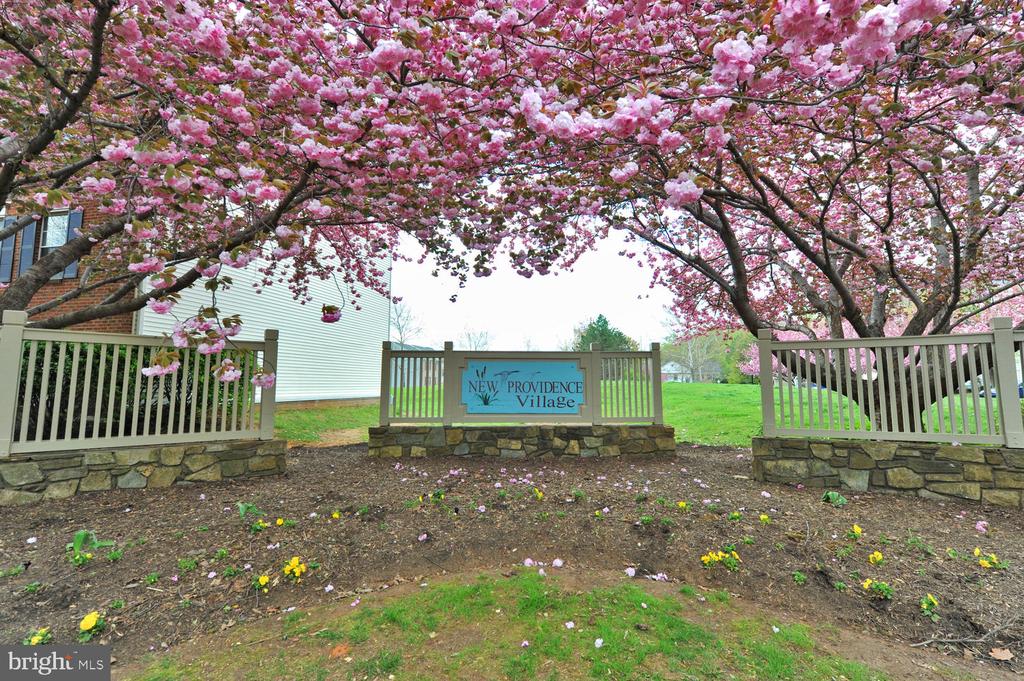 7746 NEW PROVIDENCE DRIVE 93
