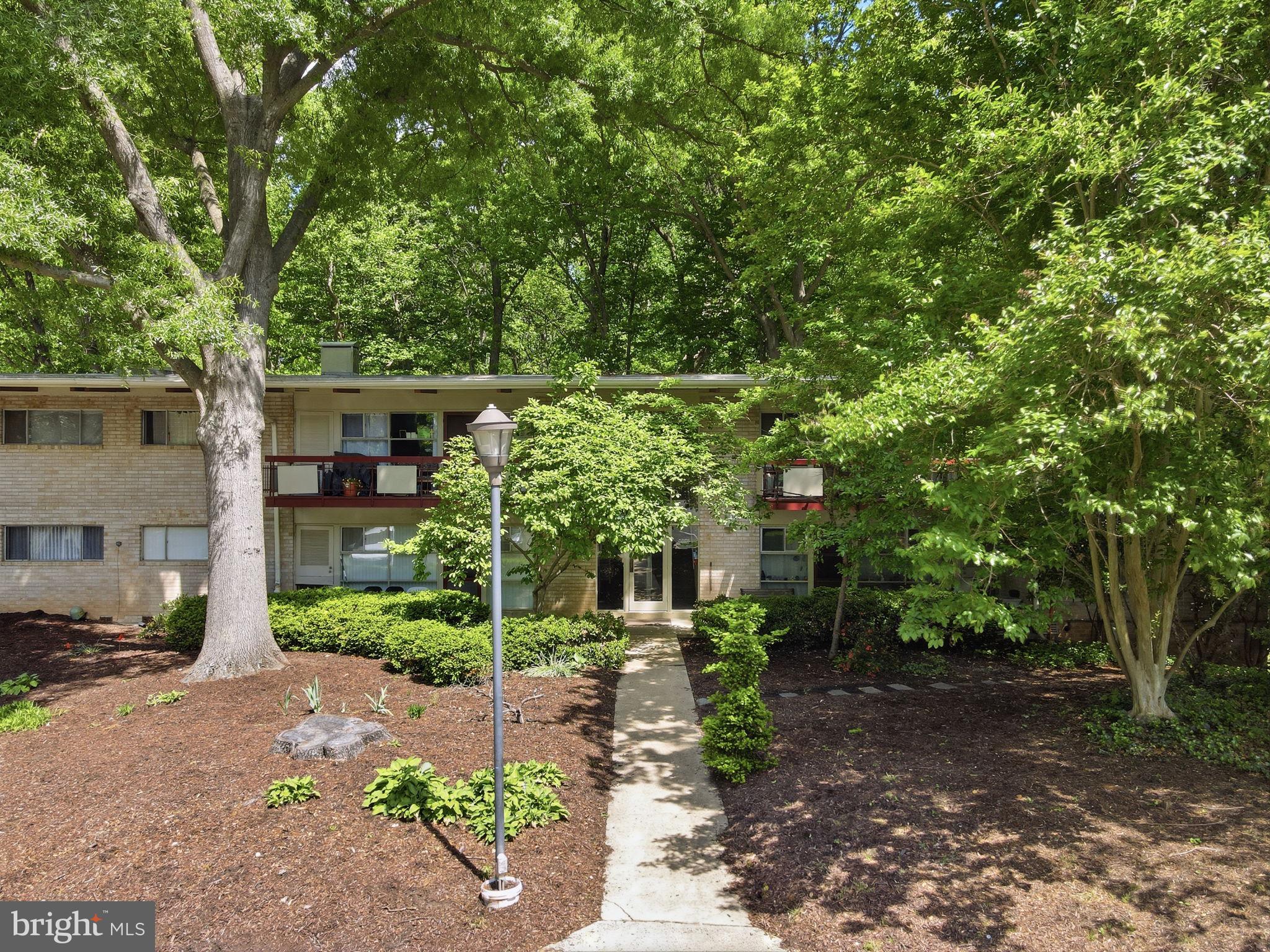 4335 AMERICANA DRIVE 203