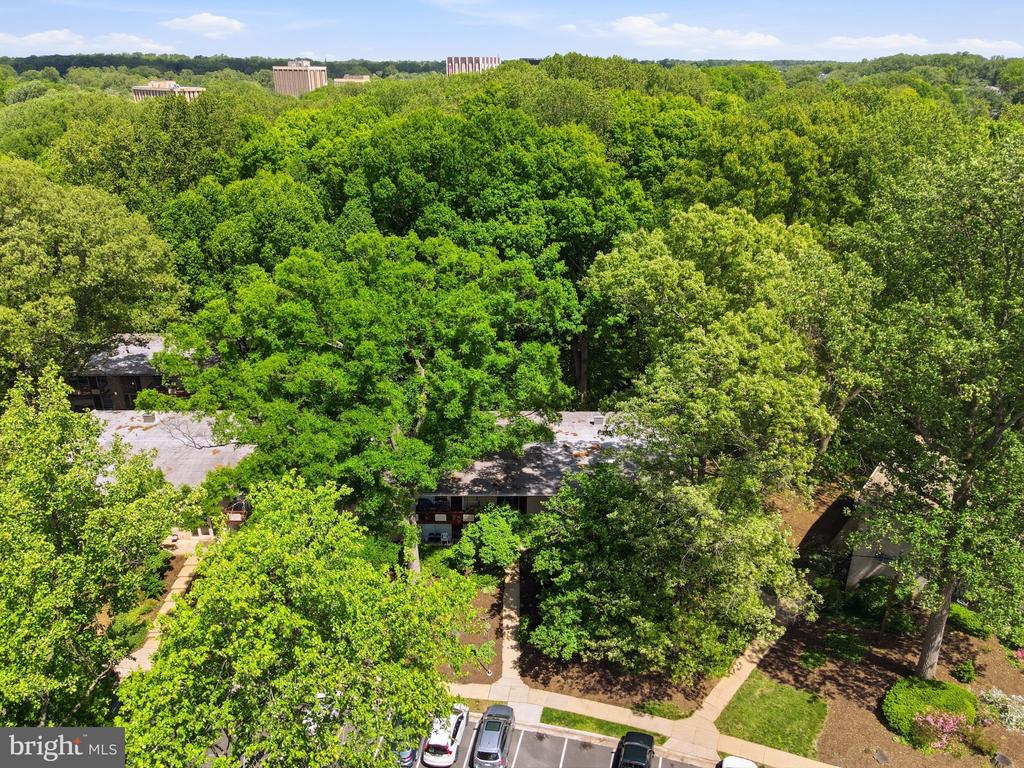 4335 AMERICANA DRIVE 203