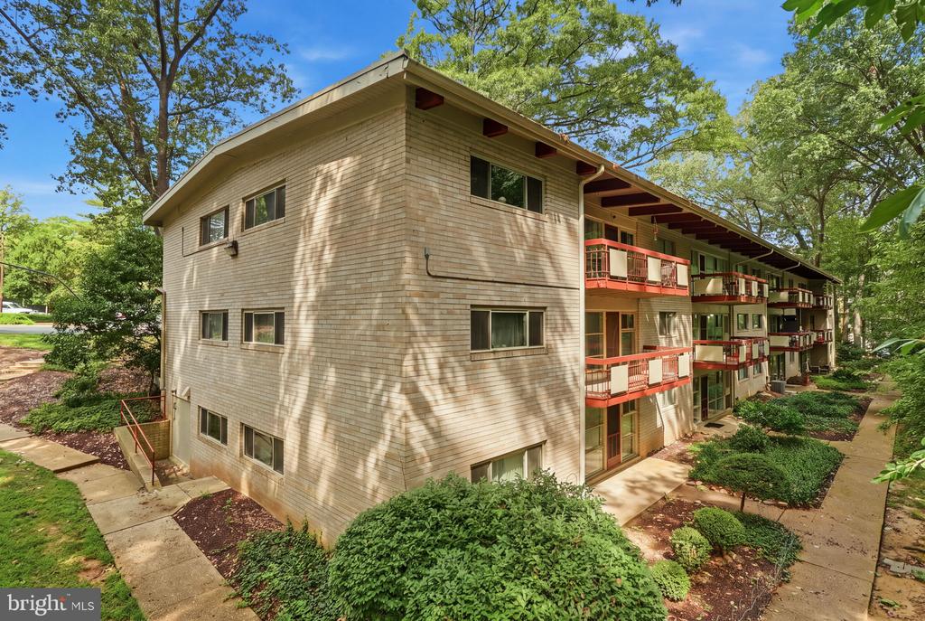 4335 AMERICANA DRIVE 203