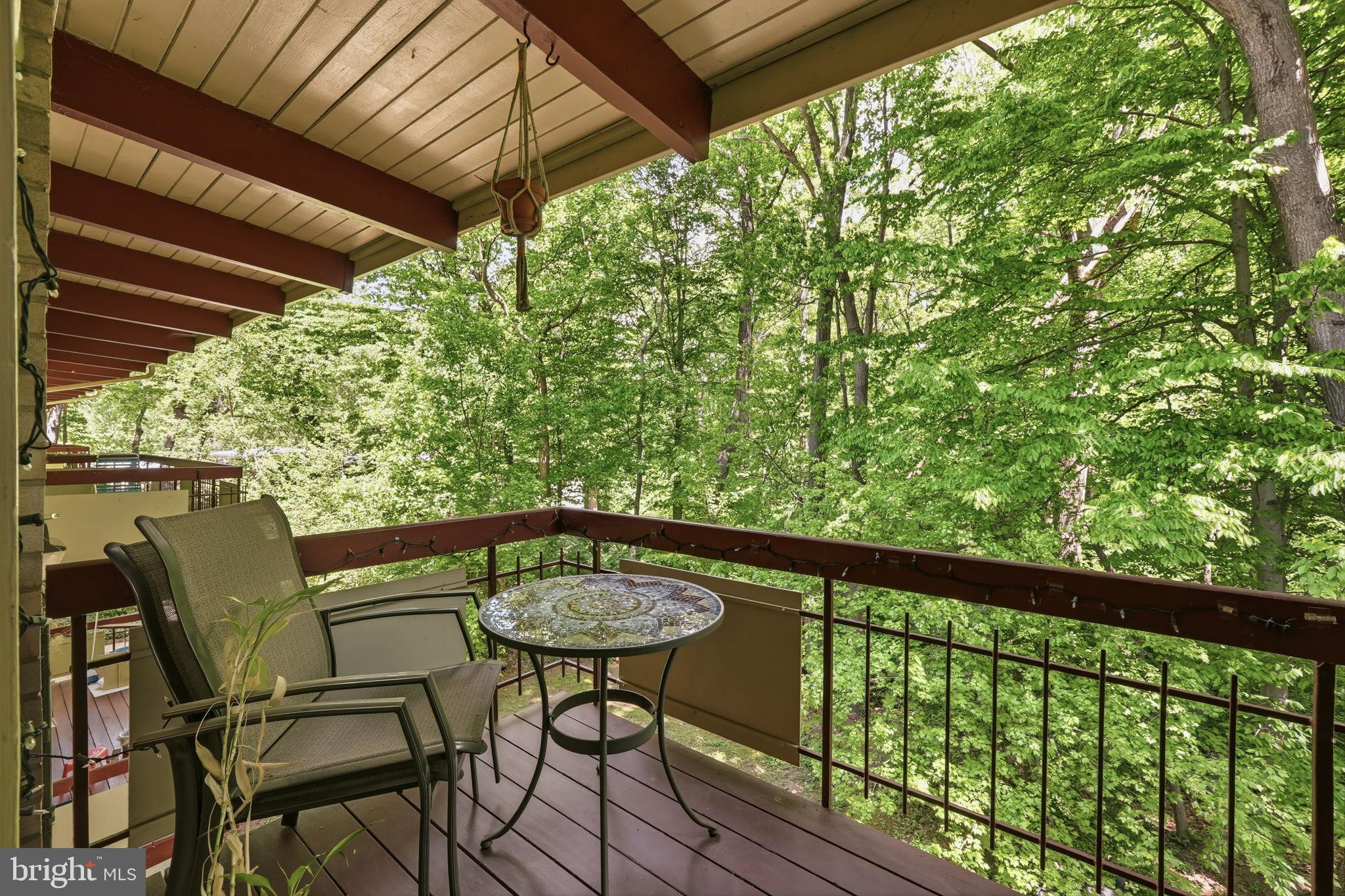 4335 AMERICANA DRIVE 203