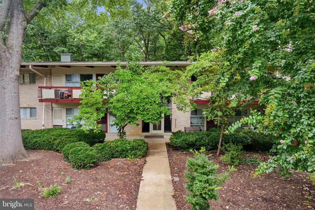 4335 AMERICANA DRIVE 203