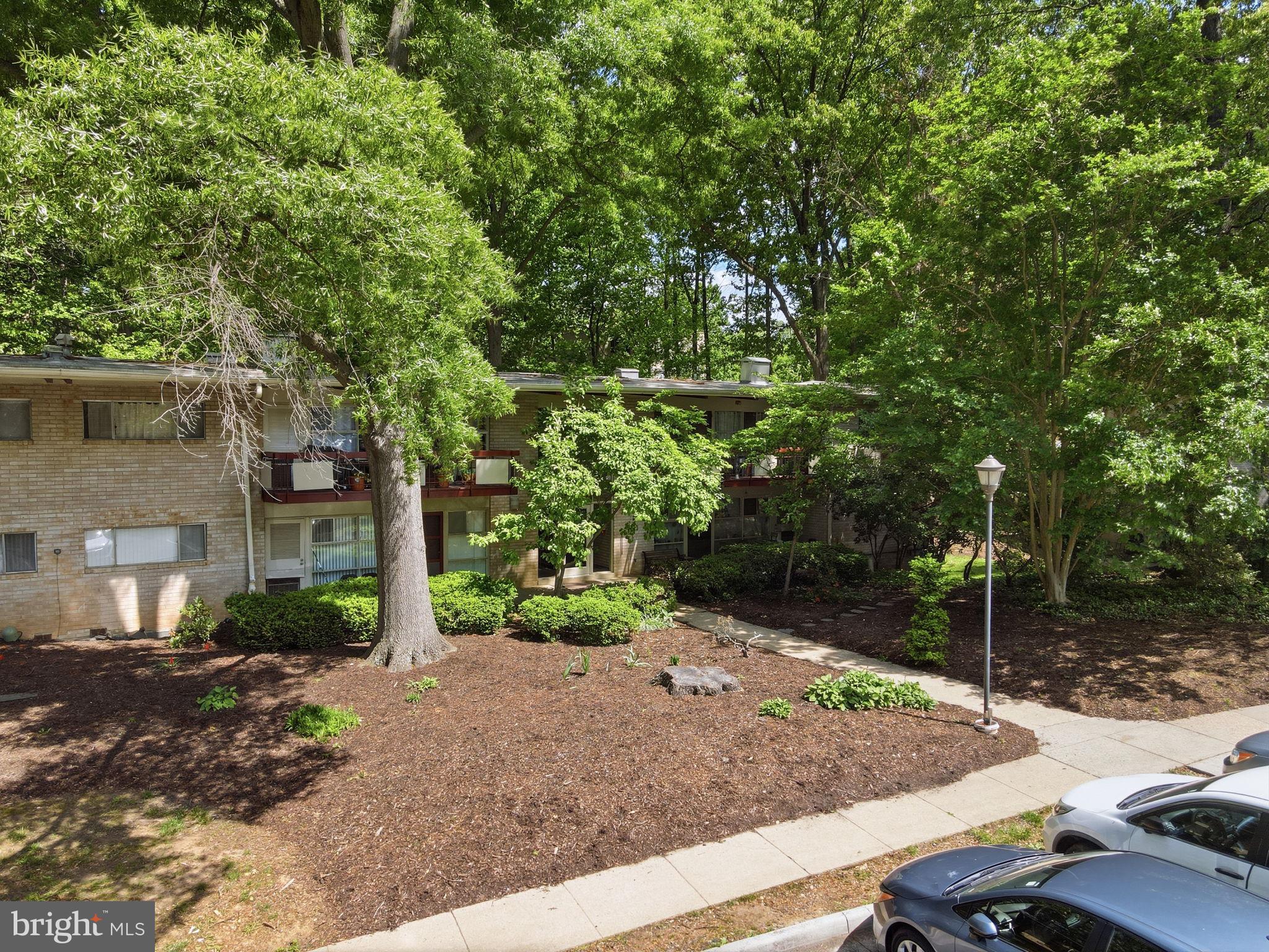 4335 AMERICANA DRIVE 203
