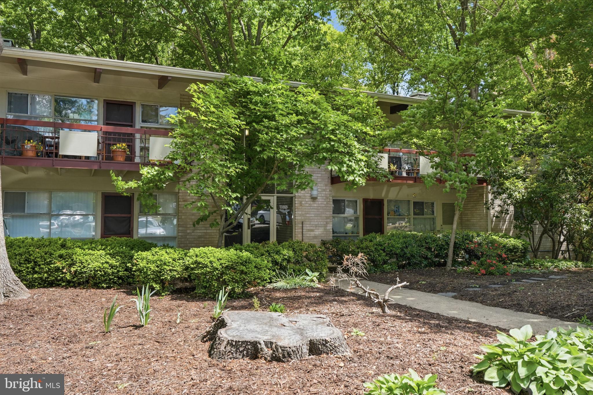 4335 AMERICANA DRIVE 203