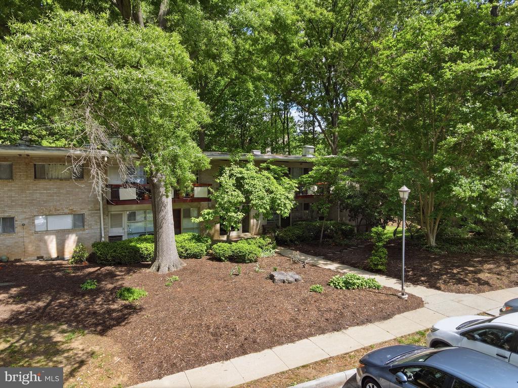 4335 AMERICANA DRIVE 203