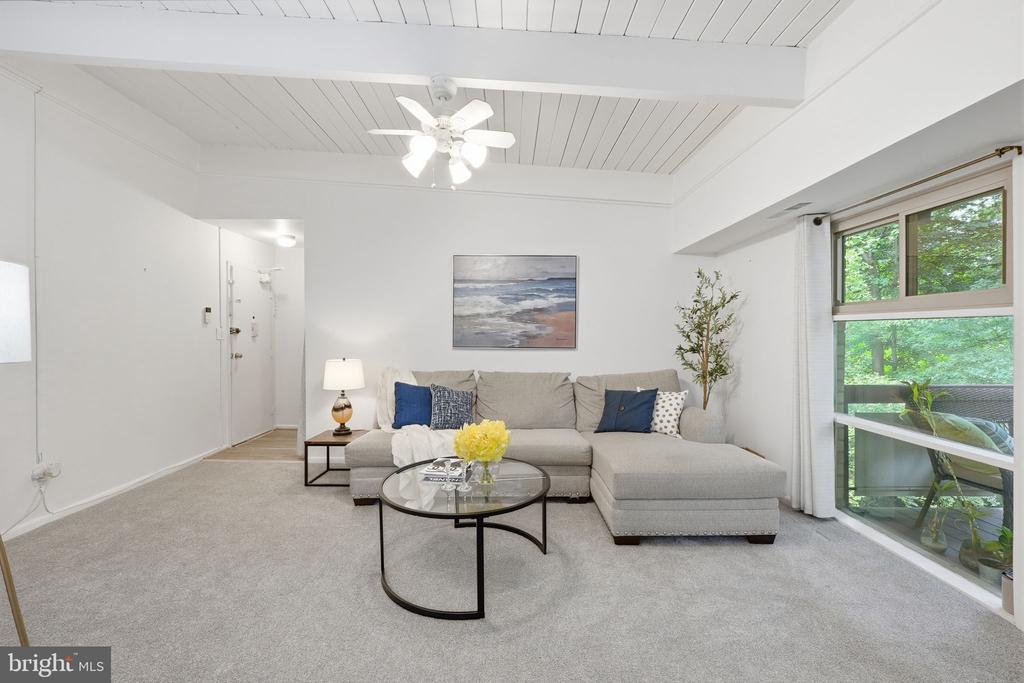 4335 AMERICANA DRIVE 203