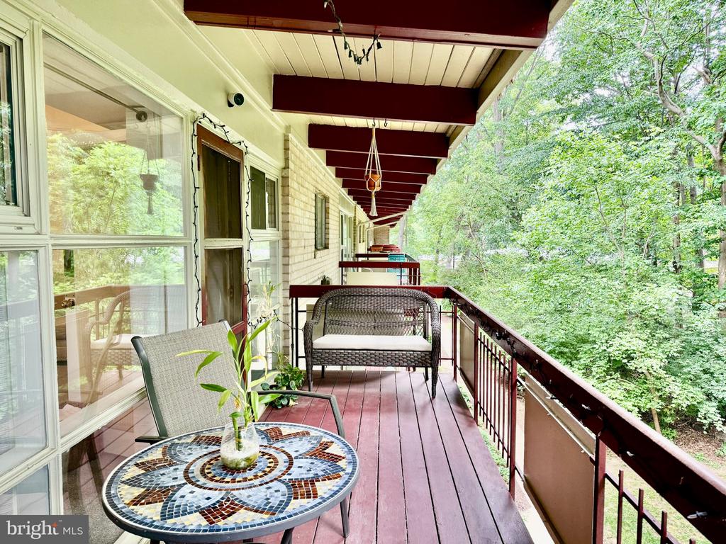 4335 AMERICANA DRIVE 203