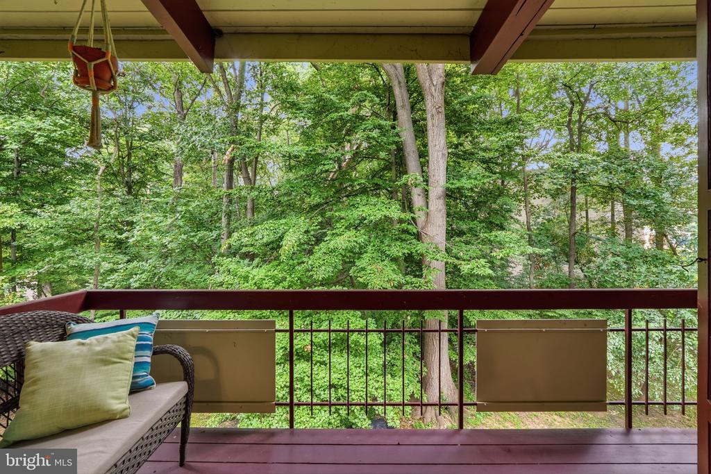 4335 AMERICANA DRIVE 203