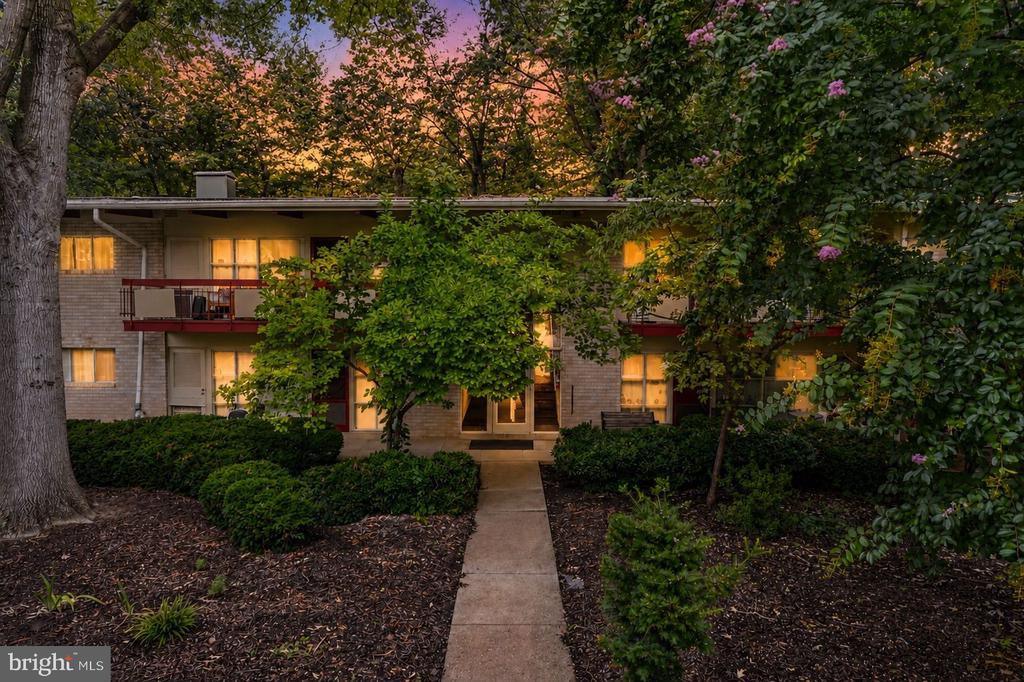 4335 AMERICANA DRIVE 203