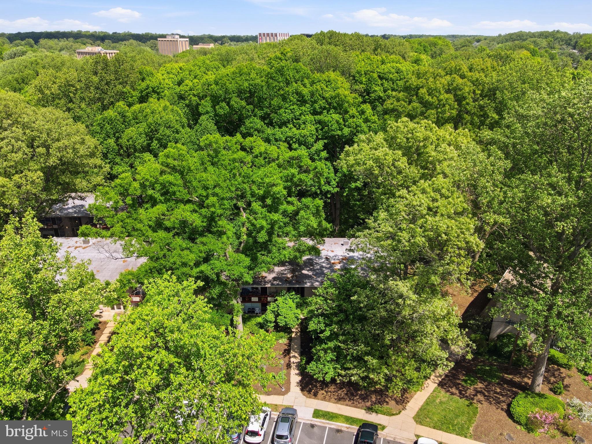 4335 AMERICANA DRIVE 203