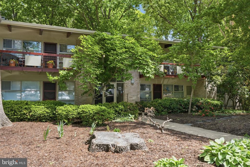 4335 AMERICANA DRIVE 203