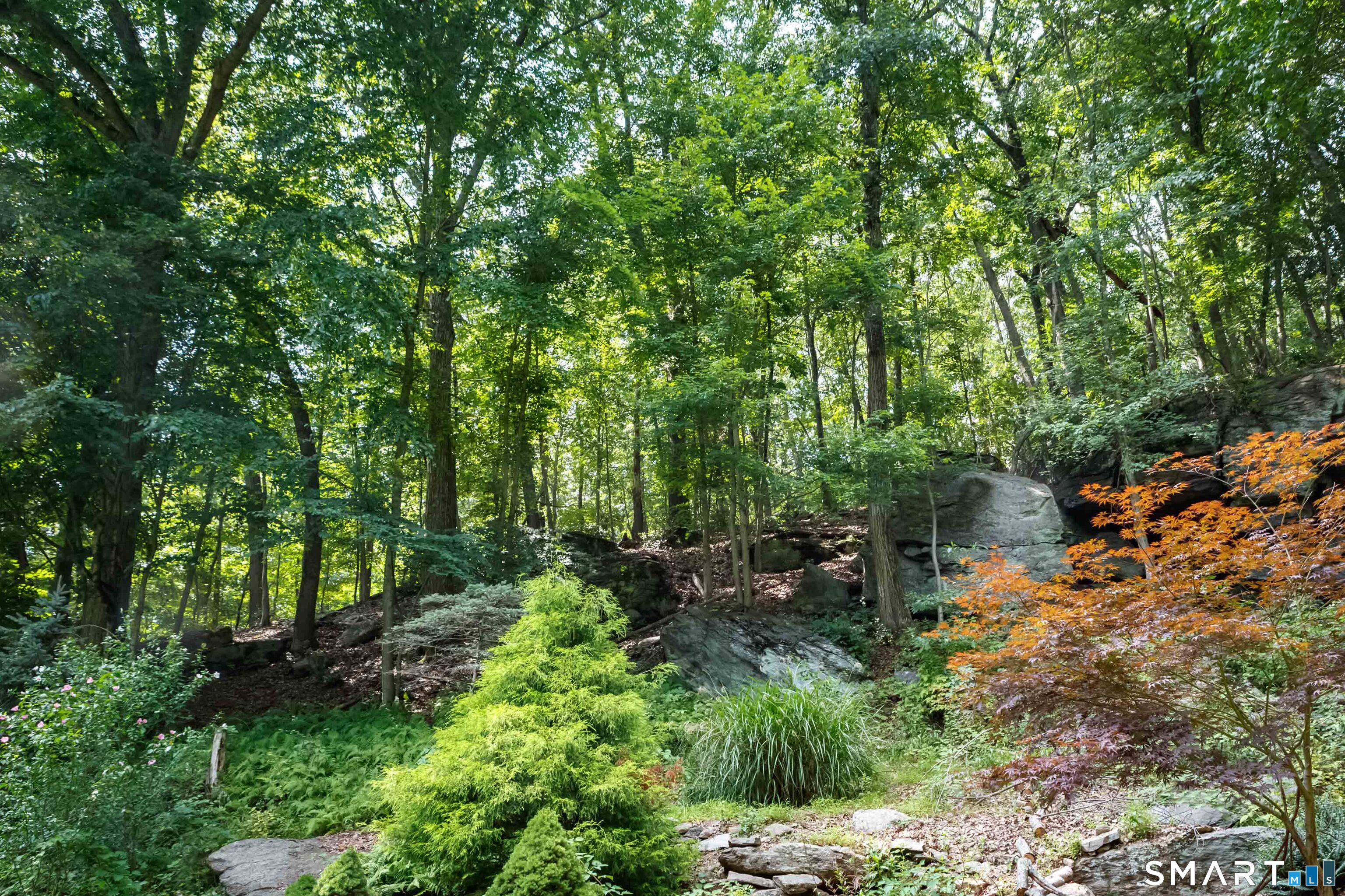 719 Mountain Laurel Road