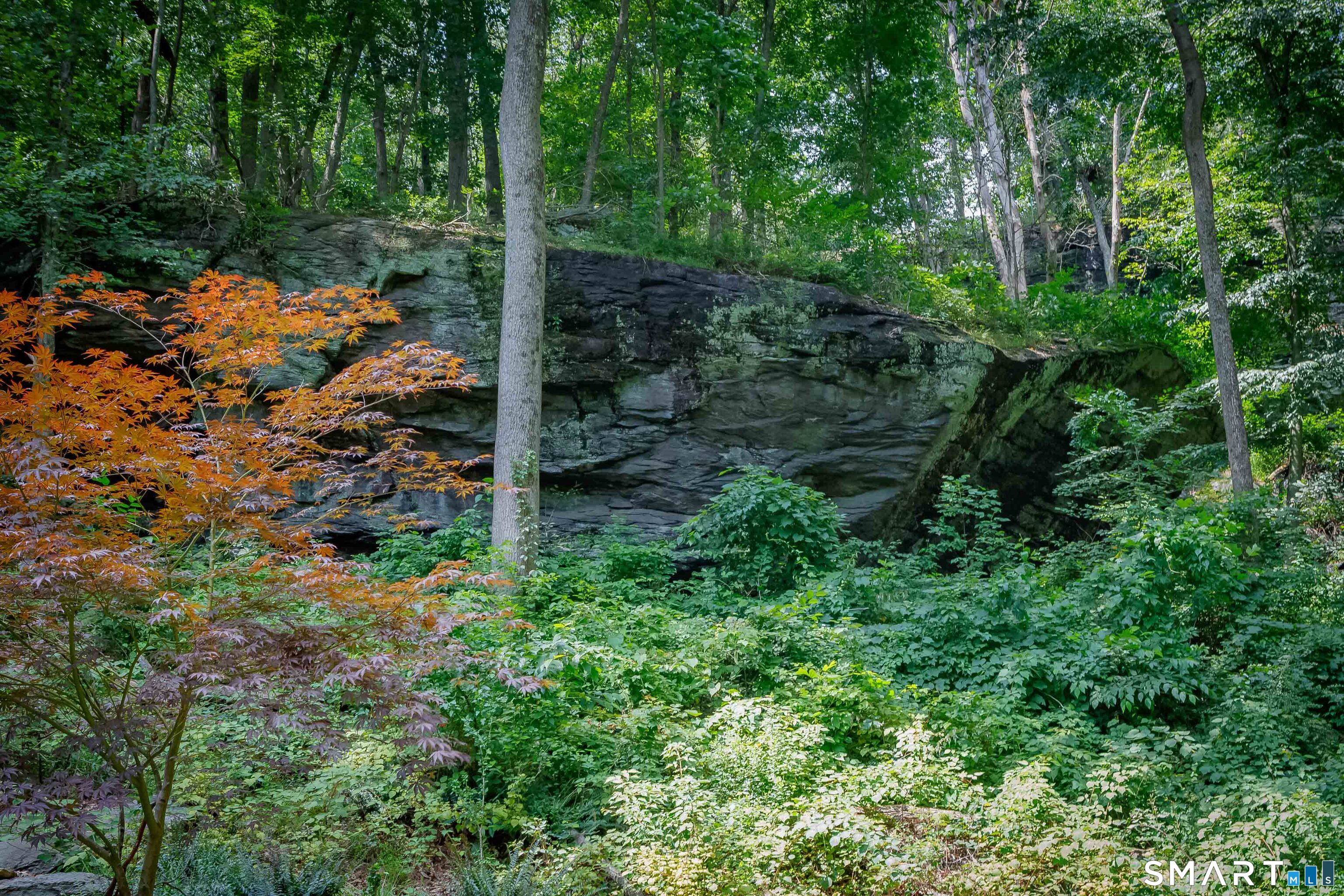 719 Mountain Laurel Road