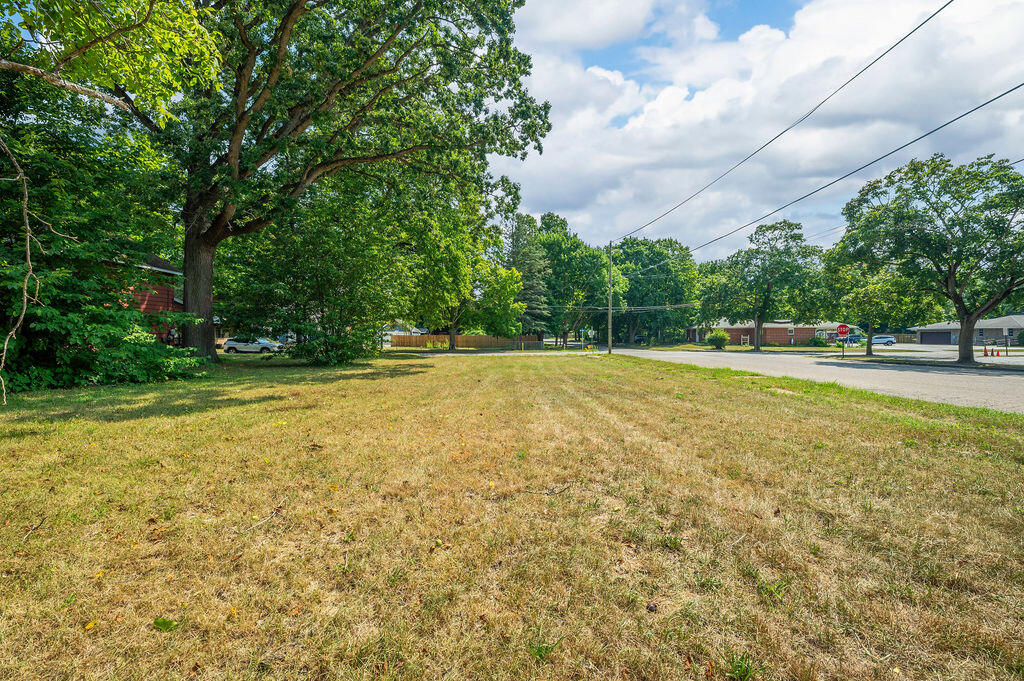 Grassy roadside lot with mature shade trees and utility lines overhead.