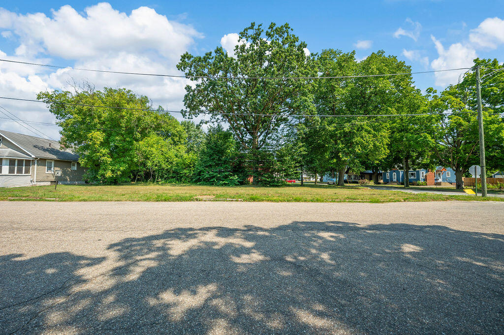 Grassy vacant lot with mature trees beside the street and neighboring homes.