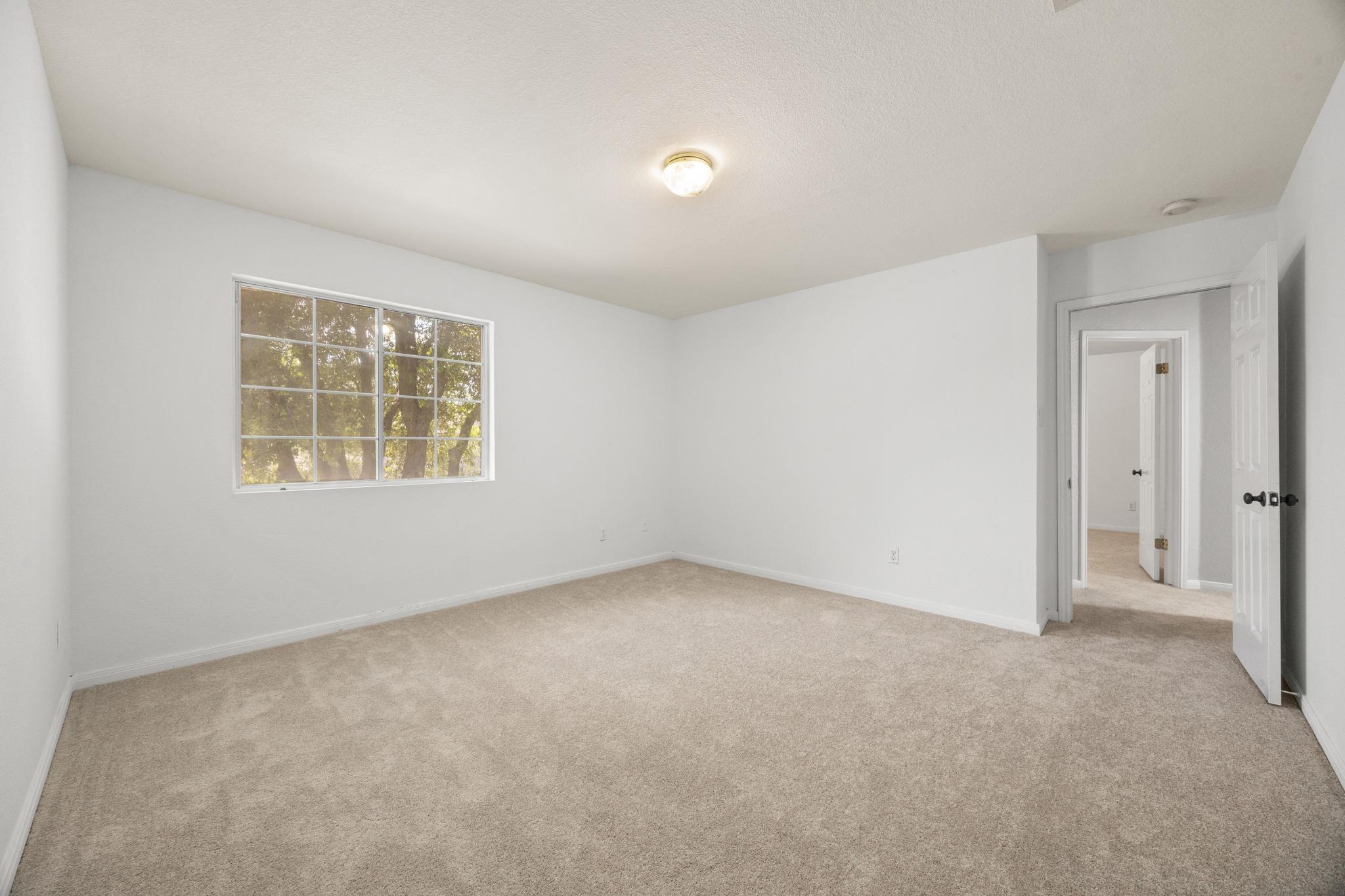 1516 Lorson LOOP