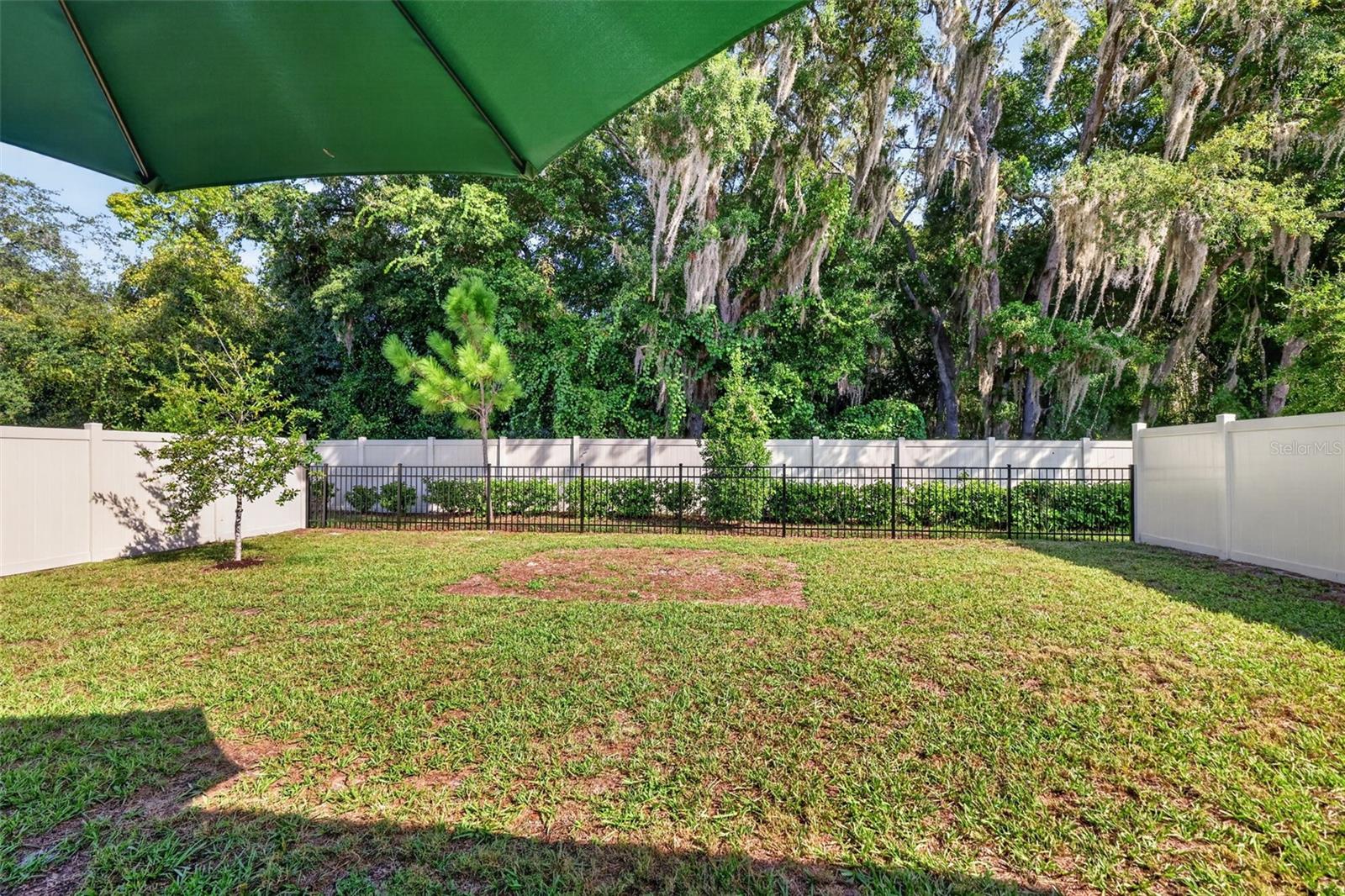 33692 SKY BLOSSOM CIR