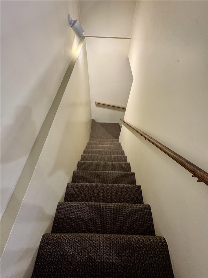 3638 Springvale Road