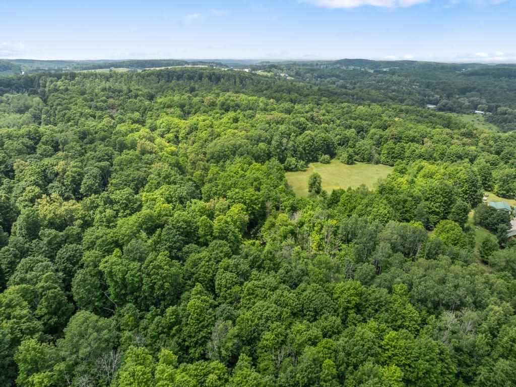 05575 Norwegian Road