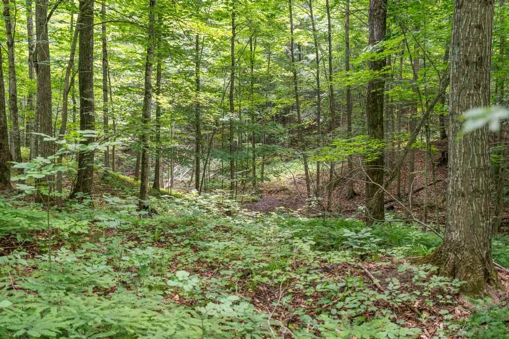 05575 Norwegian Road