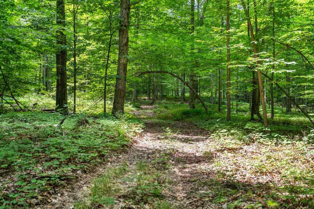 05575 Norwegian Road