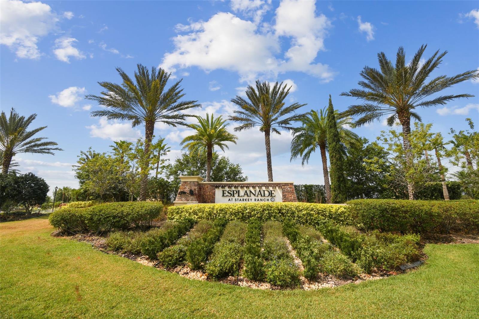 3462 FORSYTHIA DR