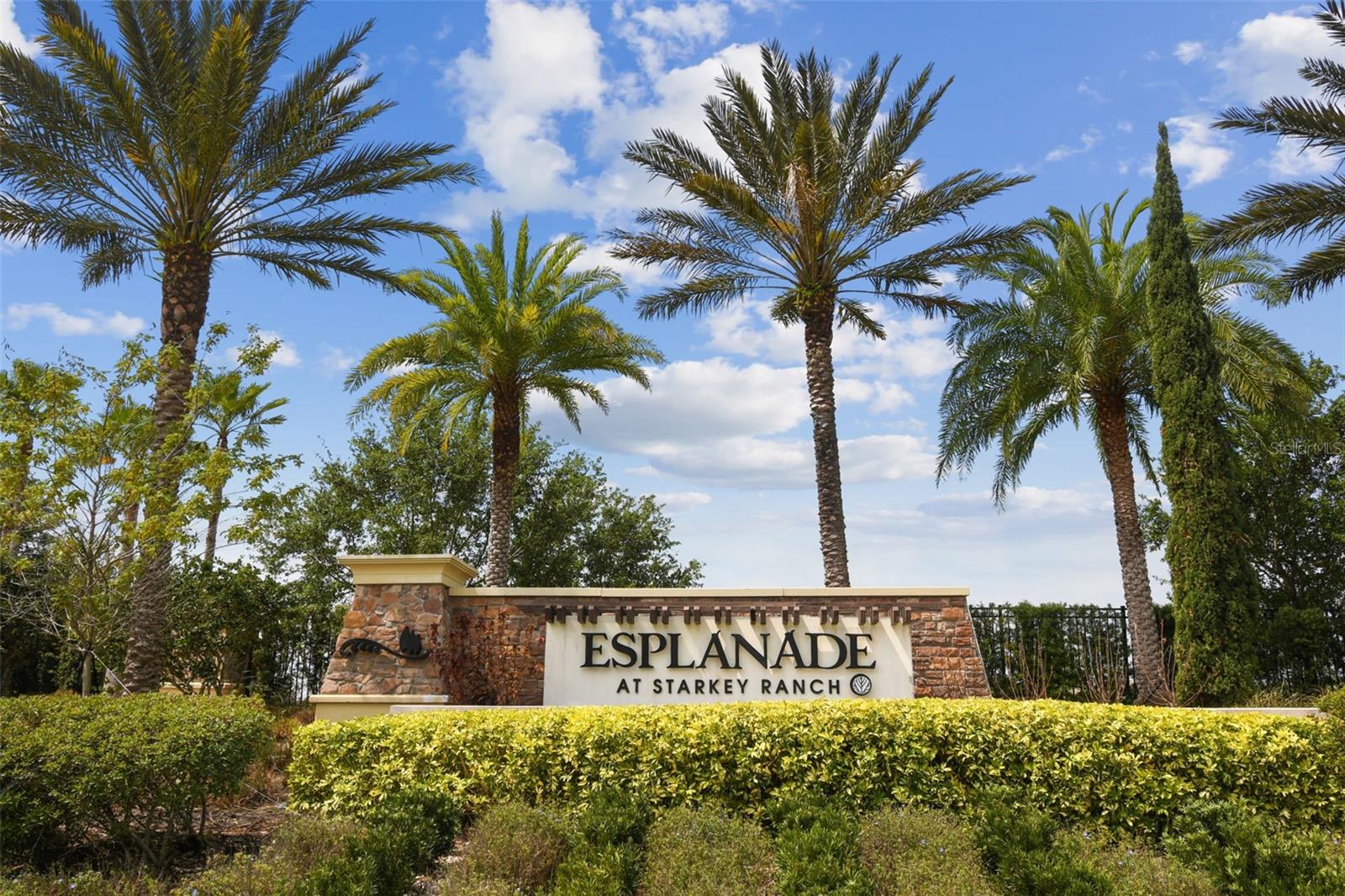 11503 CALLISIA DR