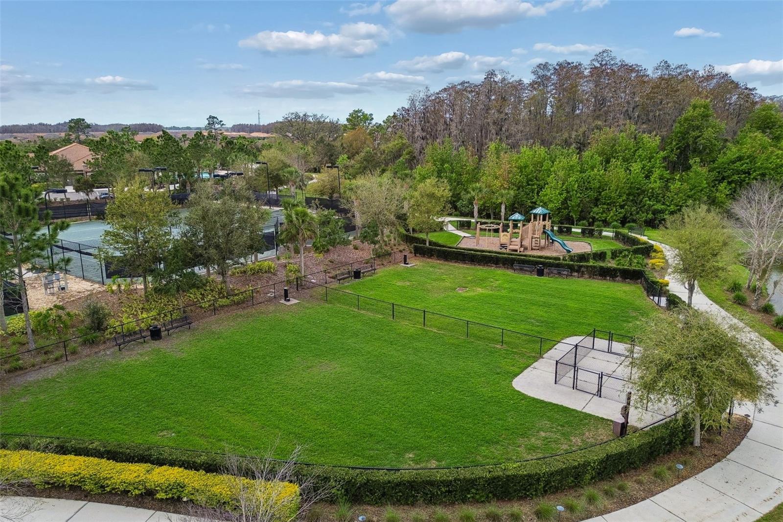 11503 CALLISIA DR