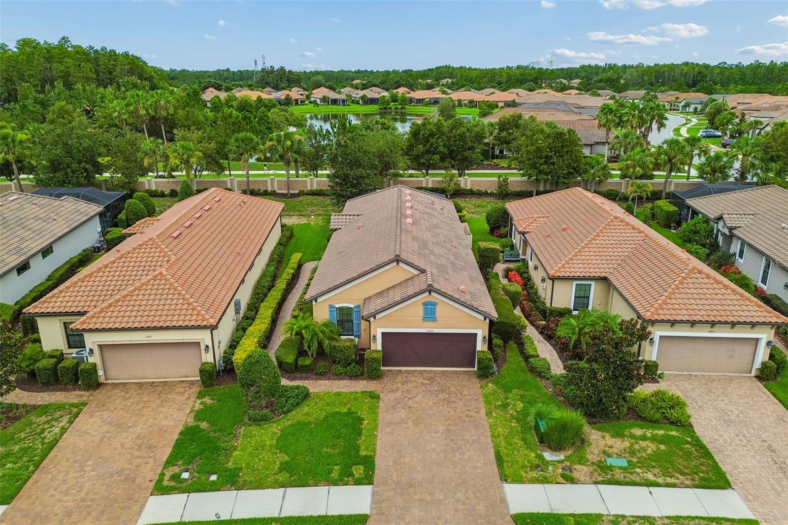 11503 CALLISIA DR